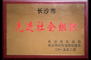 先进社会组织