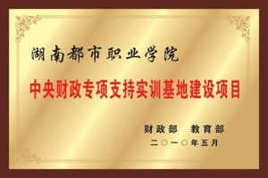 中央财政专项支持实训基地建设项目