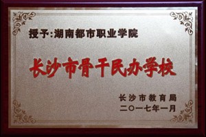 长沙市骨干民办学校